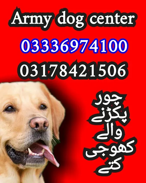 Army dog center 03455644331